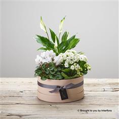 Snowy Garden Planted Hatbox