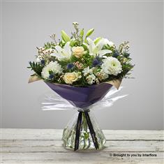 Large Twinkling White&#39;s