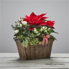 Colours of Christmas Basket