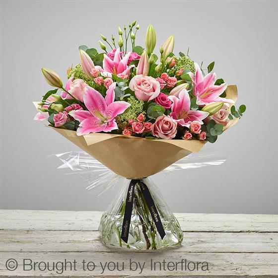 Flamingo Frills Extra Large Mary S Florist Halifax