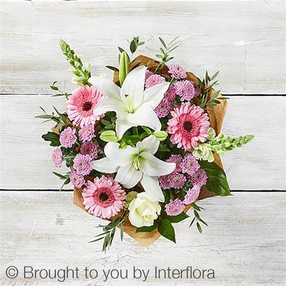 Shared Secrets Mary's Florist Halifax